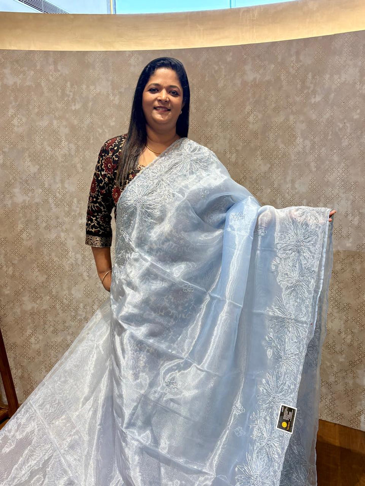 Organza Saree TSA4022