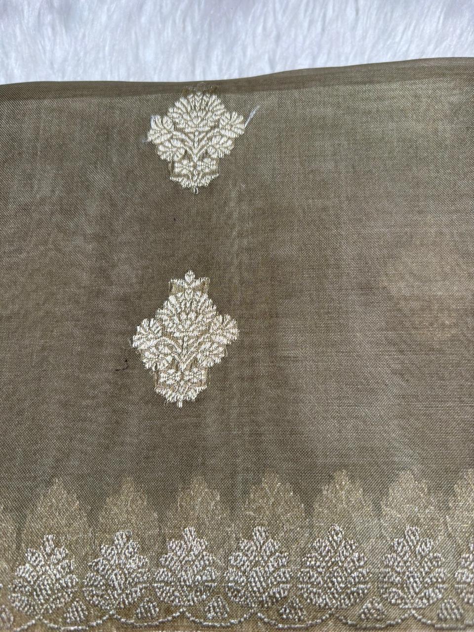 Organza Saree TSA4027