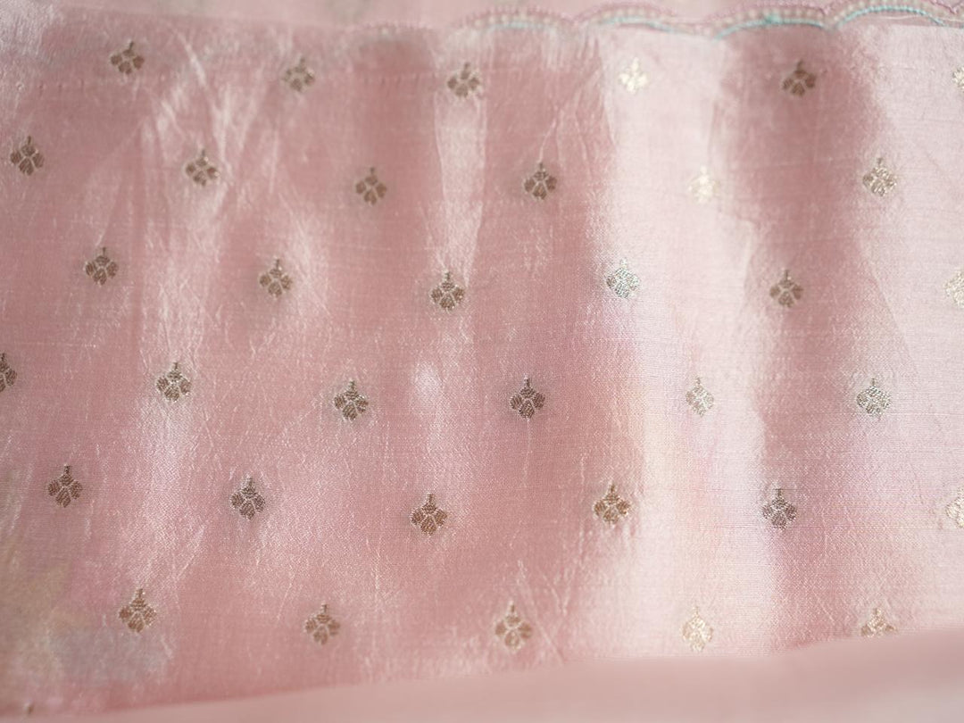 Organza Saree TSA4049