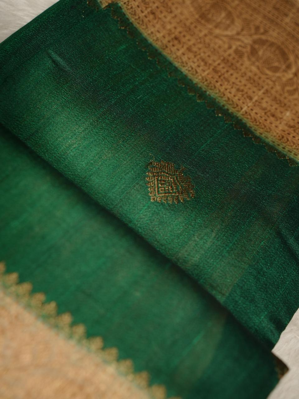 Raw Silk Saree TSA4065