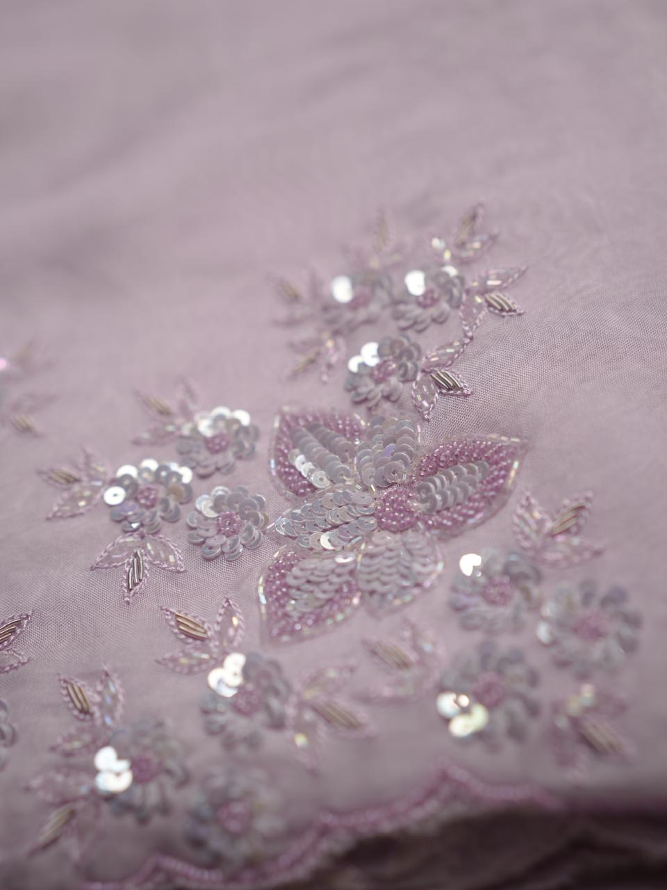 Organza Saree TSA4093