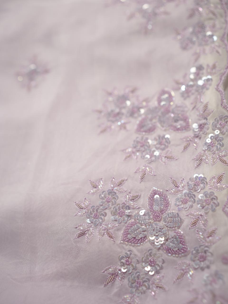Organza Saree TSA4093
