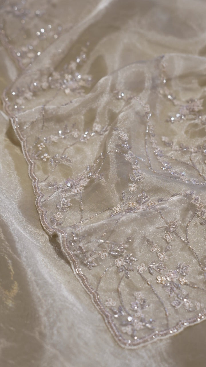 Organza Saree TSA3983