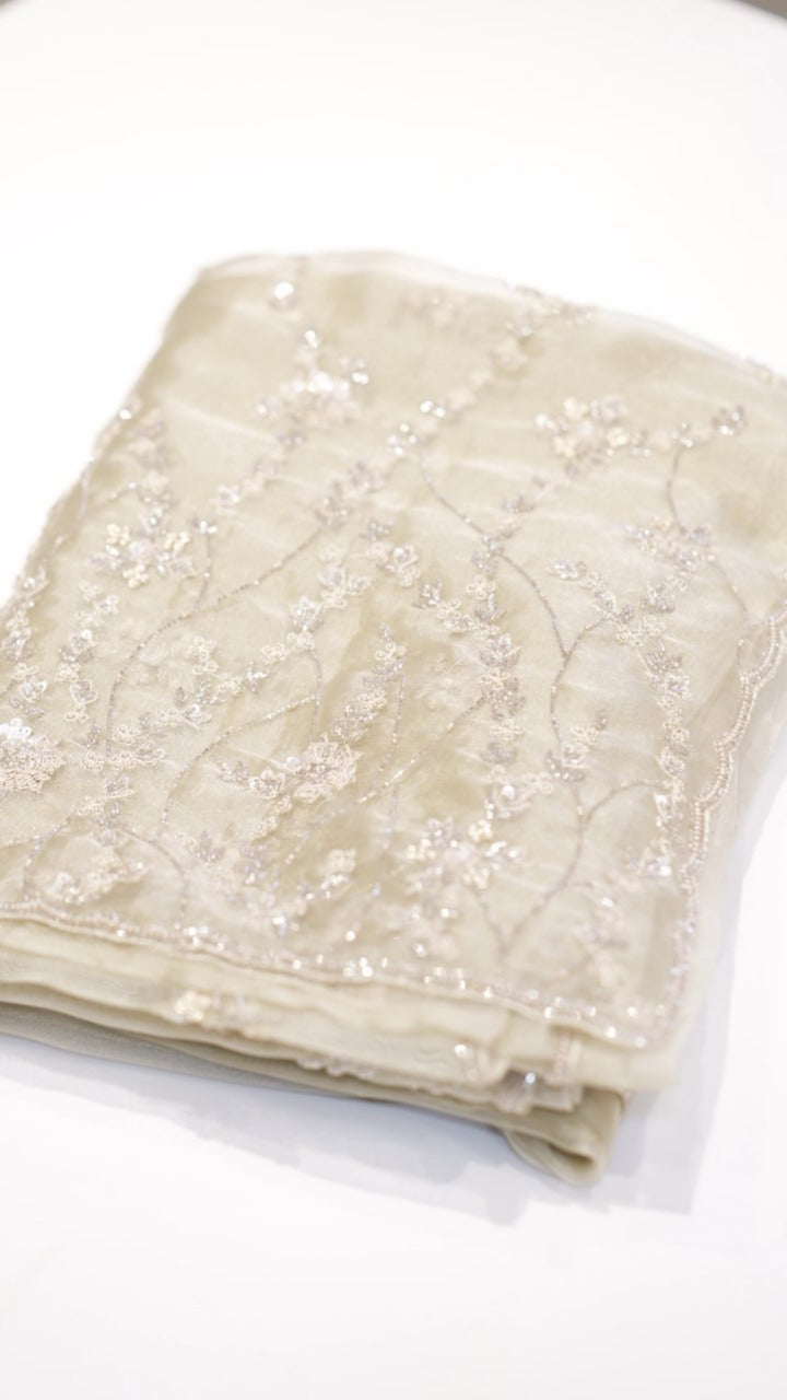 Organza Saree TSA3983