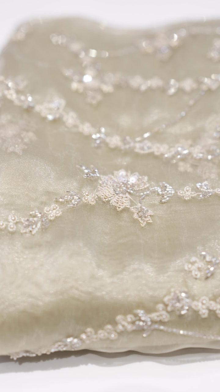 Organza Saree TSA3983