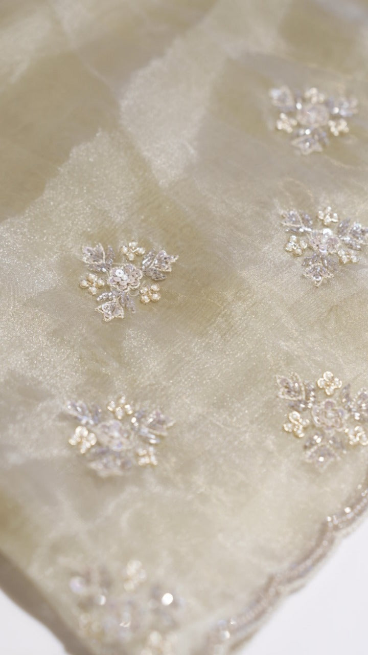 Organza Saree TSA3983