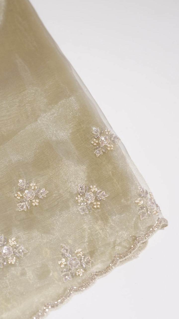 Organza Saree TSA3983