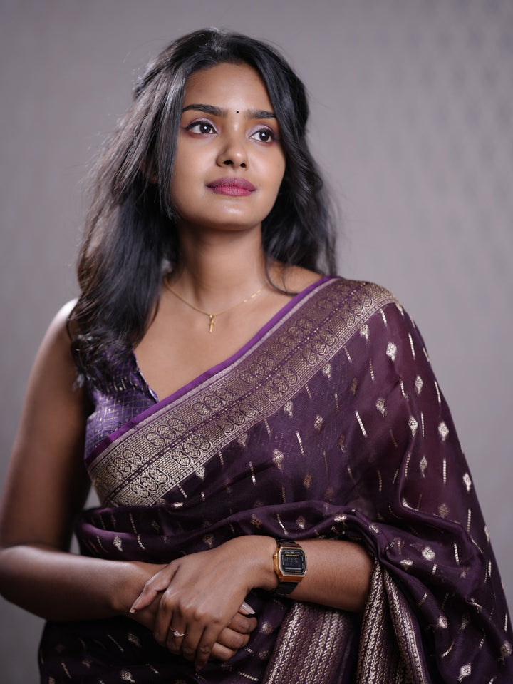 organza Saree TSA423