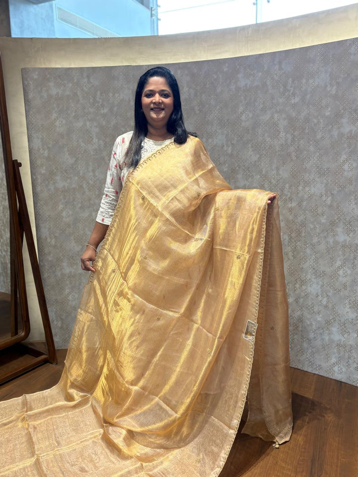 Tissue Jute Net Saree TSA4163