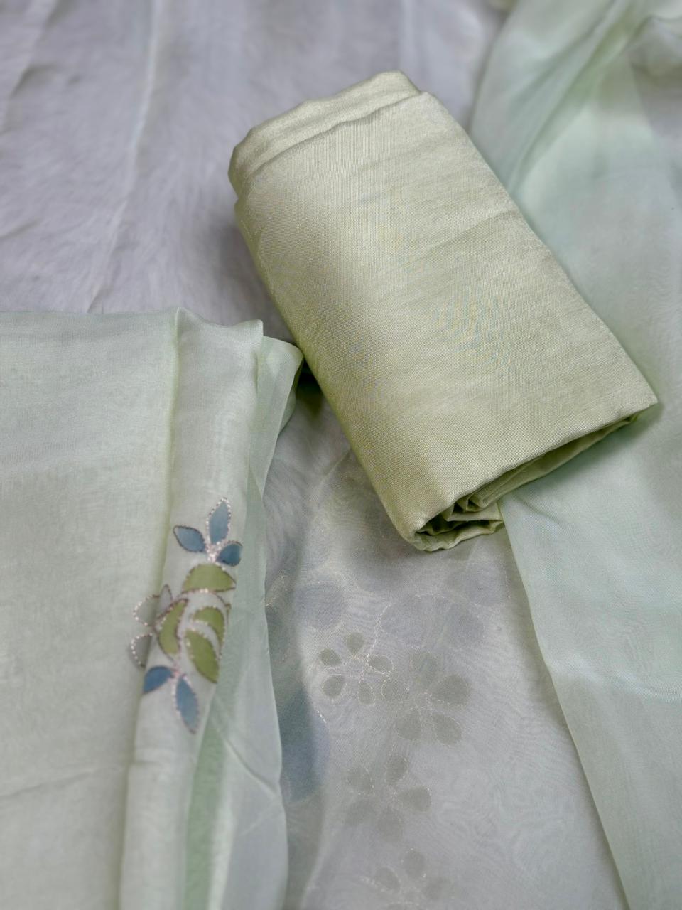 Organza Salwar TSS4191