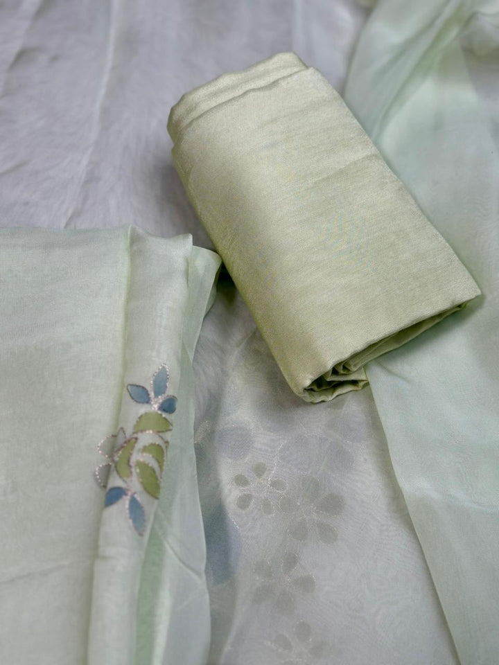 Organza Salwar TSS4191