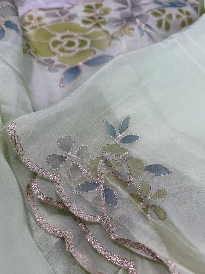 Organza Salwar TSS4191