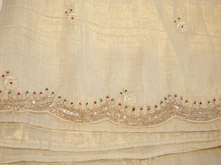 Tissue Organza Saree TSA4232