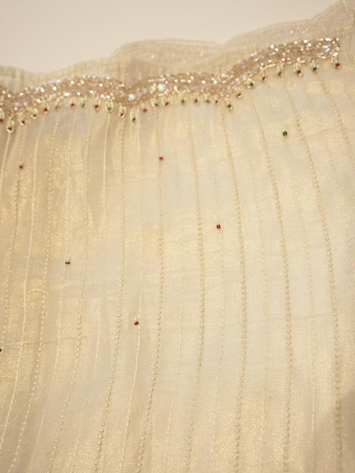 Tissue Organza Saree TSA4232