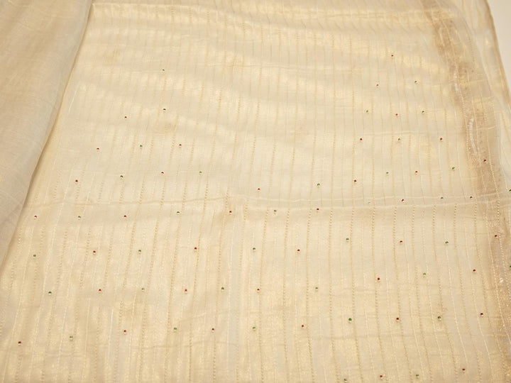 Tissue Organza Saree TSA4232