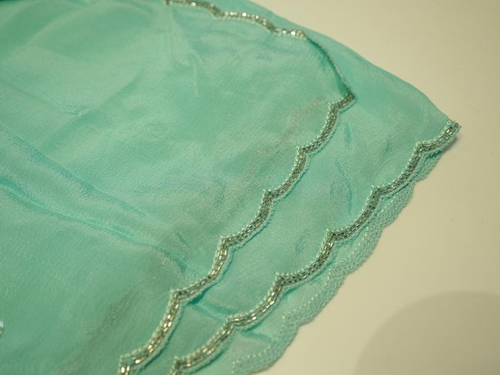 Chinnon Salwar TSS4241