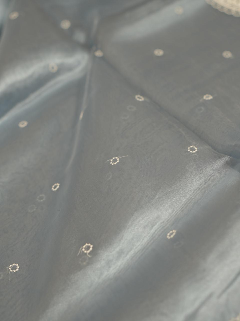 Glass Organza Saree TSA4253