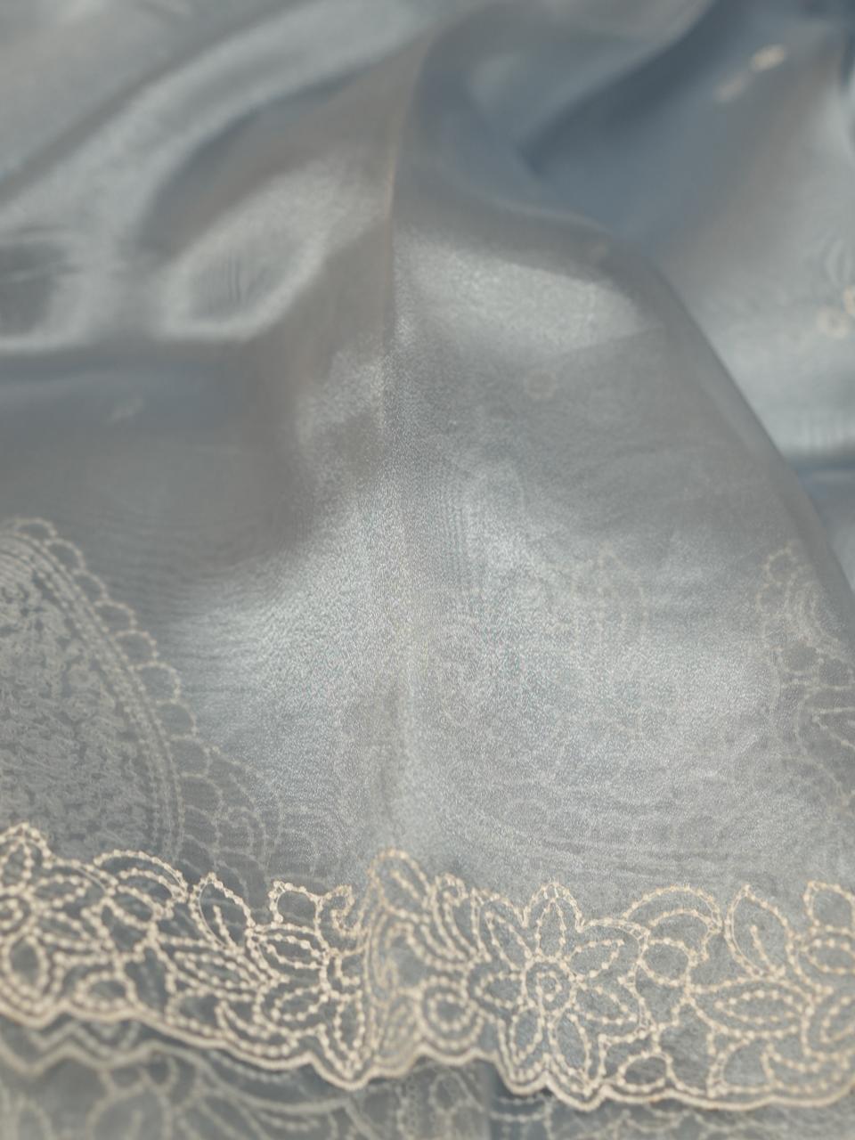 Glass Organza Saree TSA4253