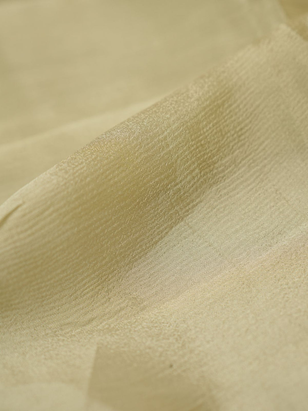 Chinnon Saree TSA4255