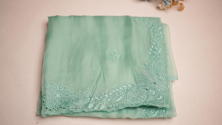 Shimmer Organza saree TSA4286
