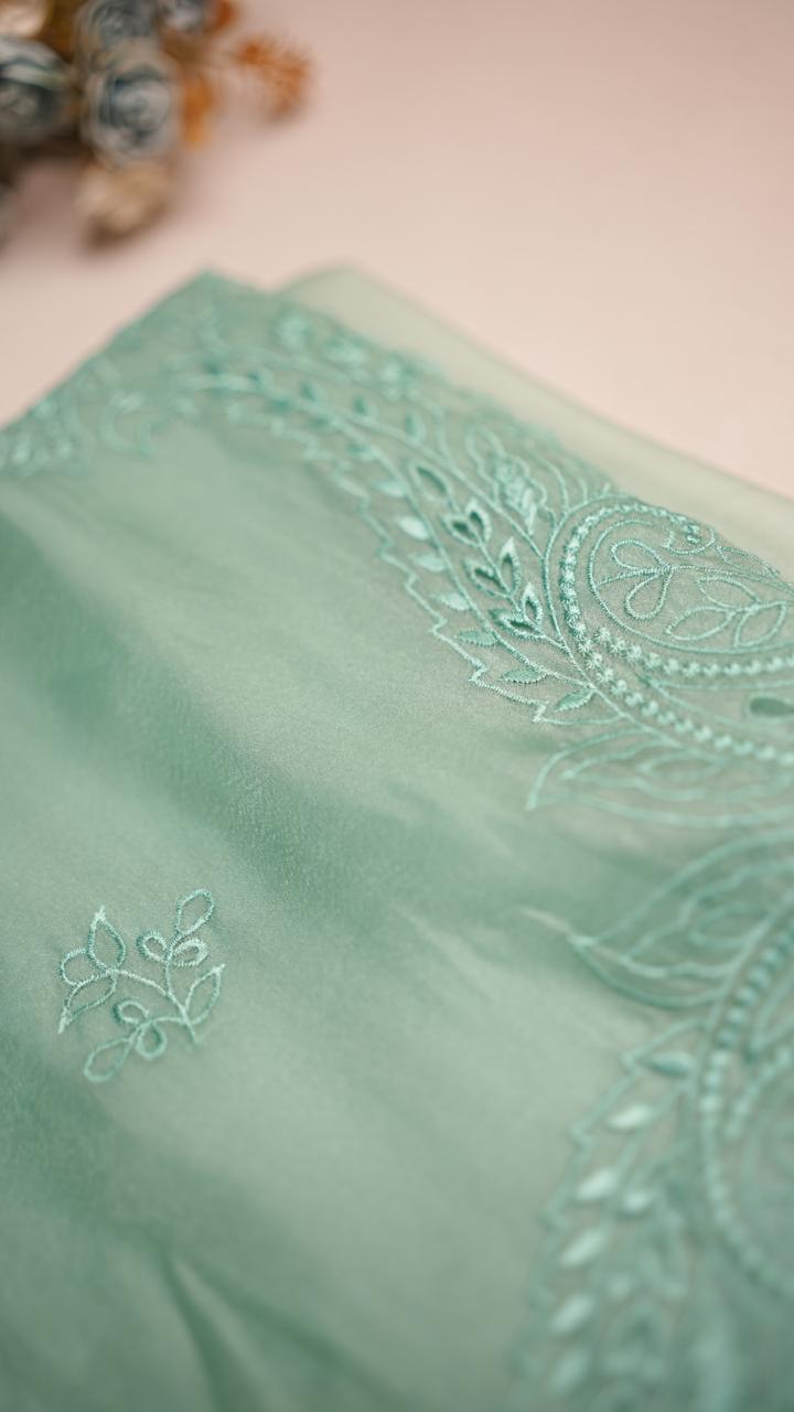 Shimmer Organza saree TSA4286