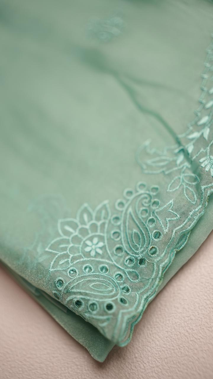 Shimmer Organza saree TSA4286