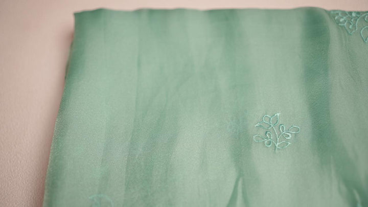 Shimmer Organza saree TSA4286