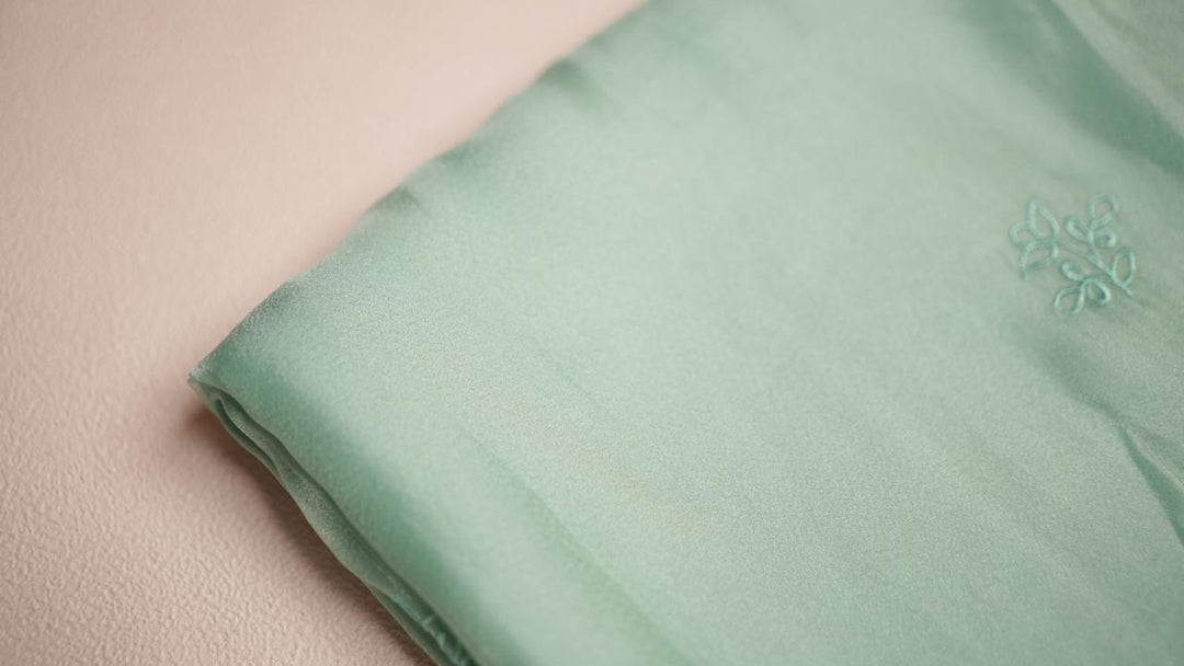 Shimmer Organza saree TSA4286