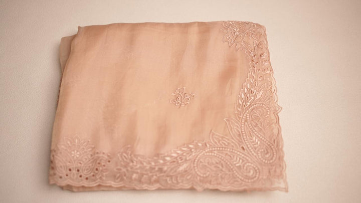 Shimmer Organza saree TSA4286