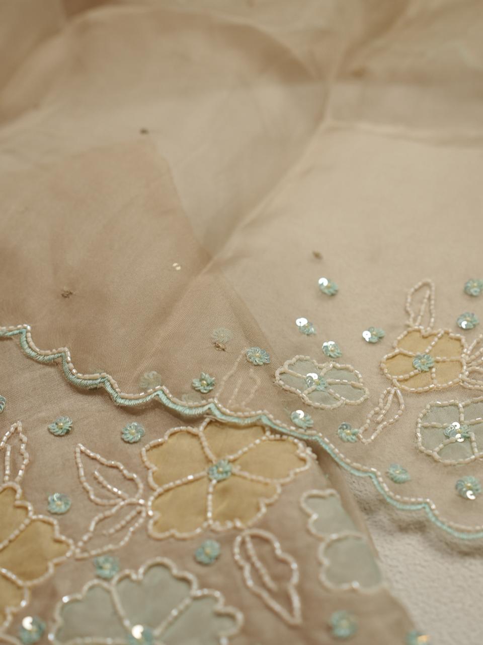 Organza Salwar TSS4264