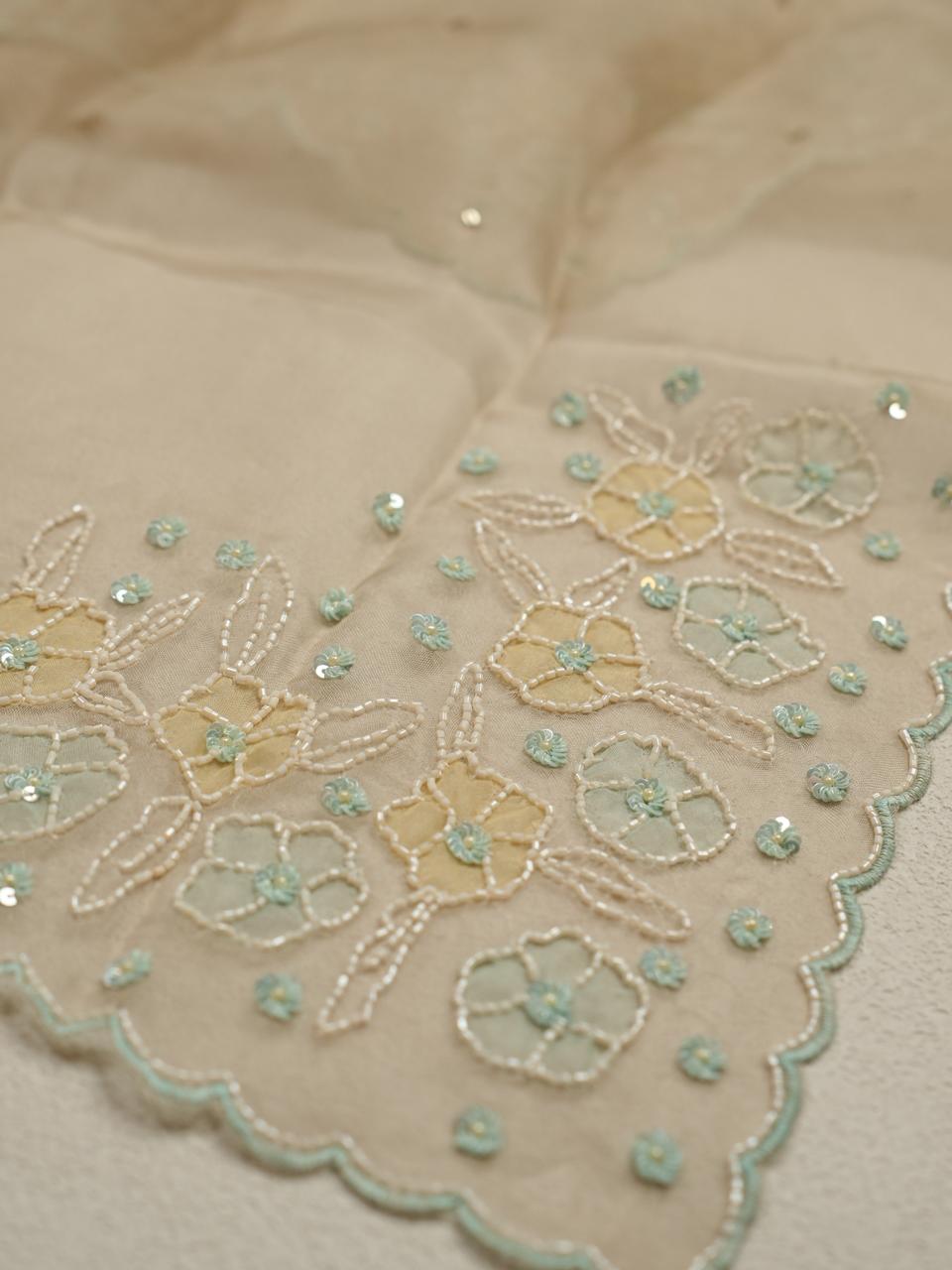 Organza Salwar TSS4264