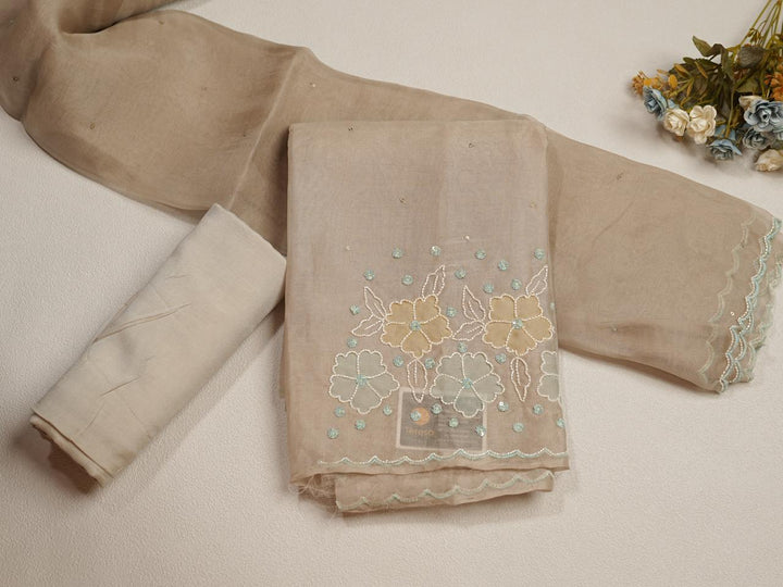 Organza Salwar TSS4264