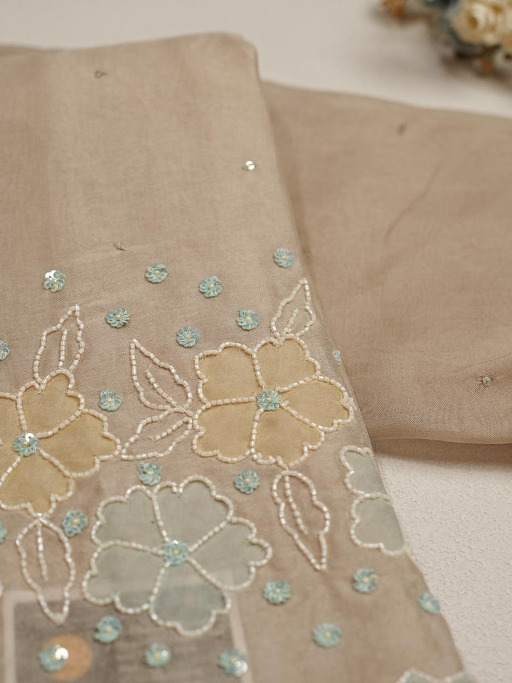 Organza Salwar TSS4264