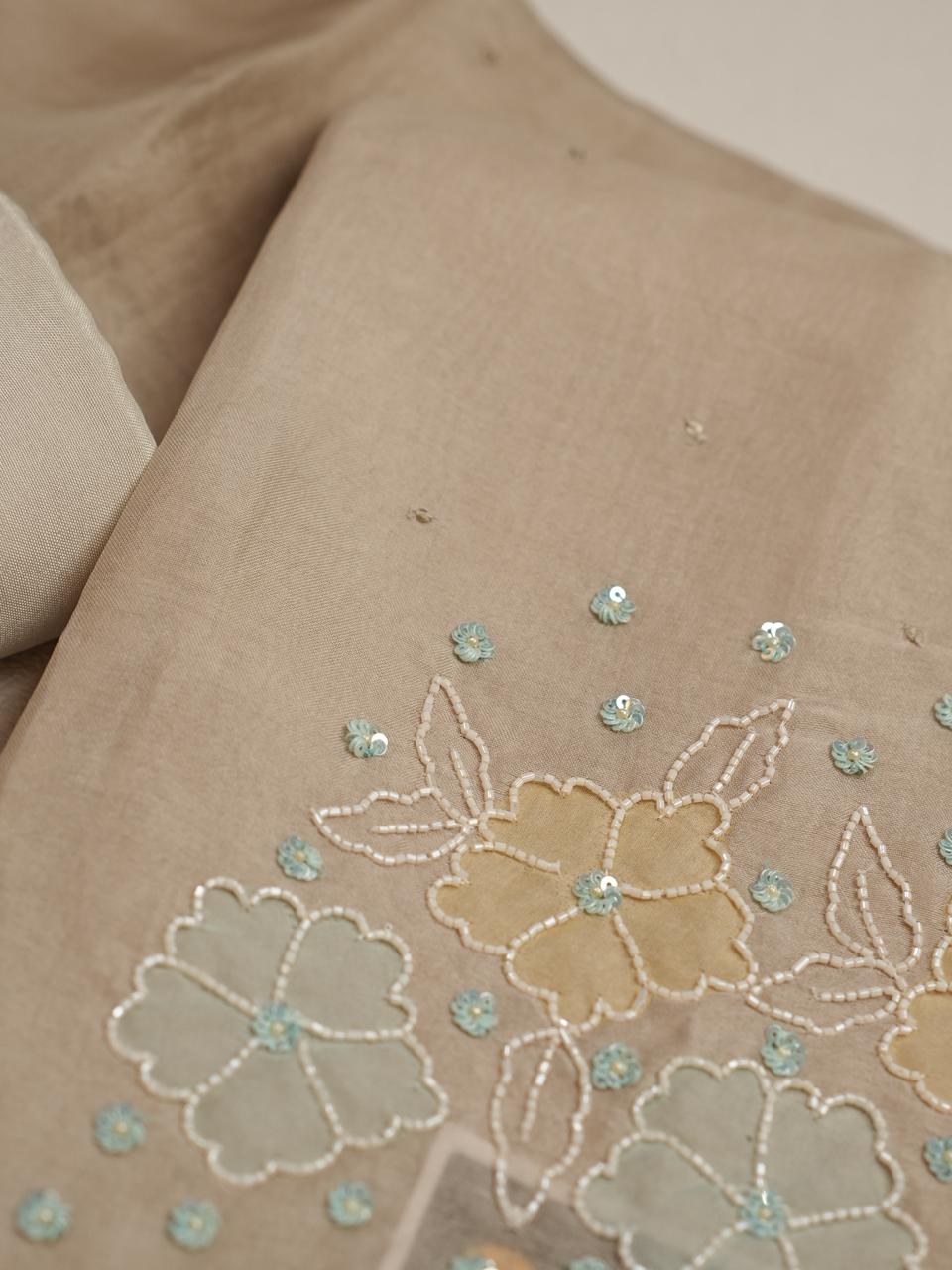 Organza Salwar TSS4264