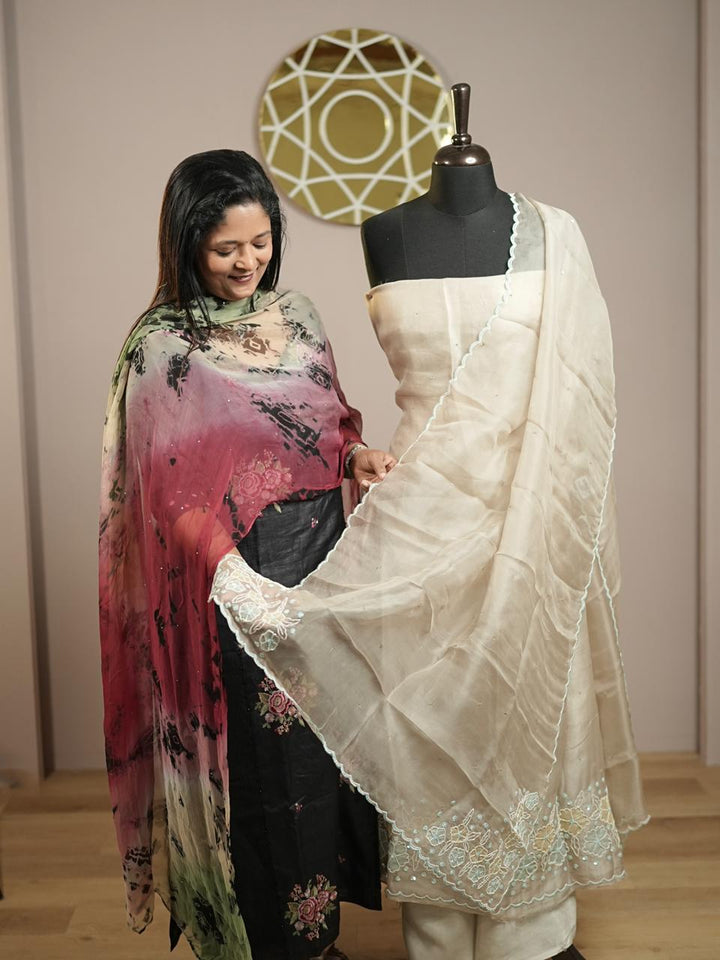 Organza Salwar TSS4264