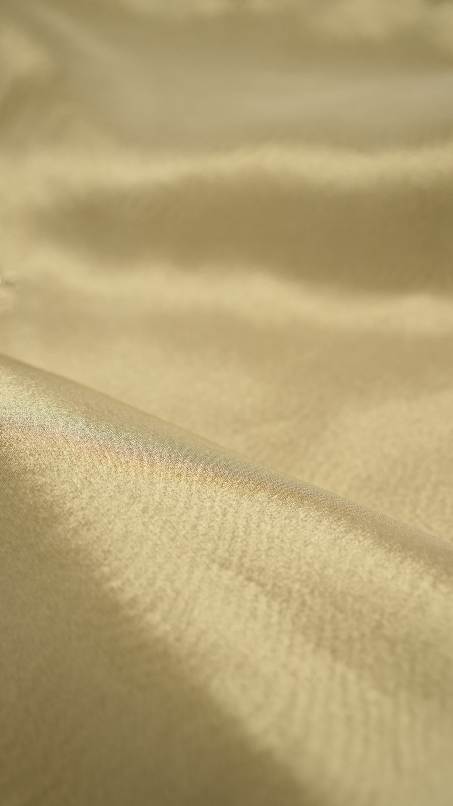 Tissue Saree TSA4289