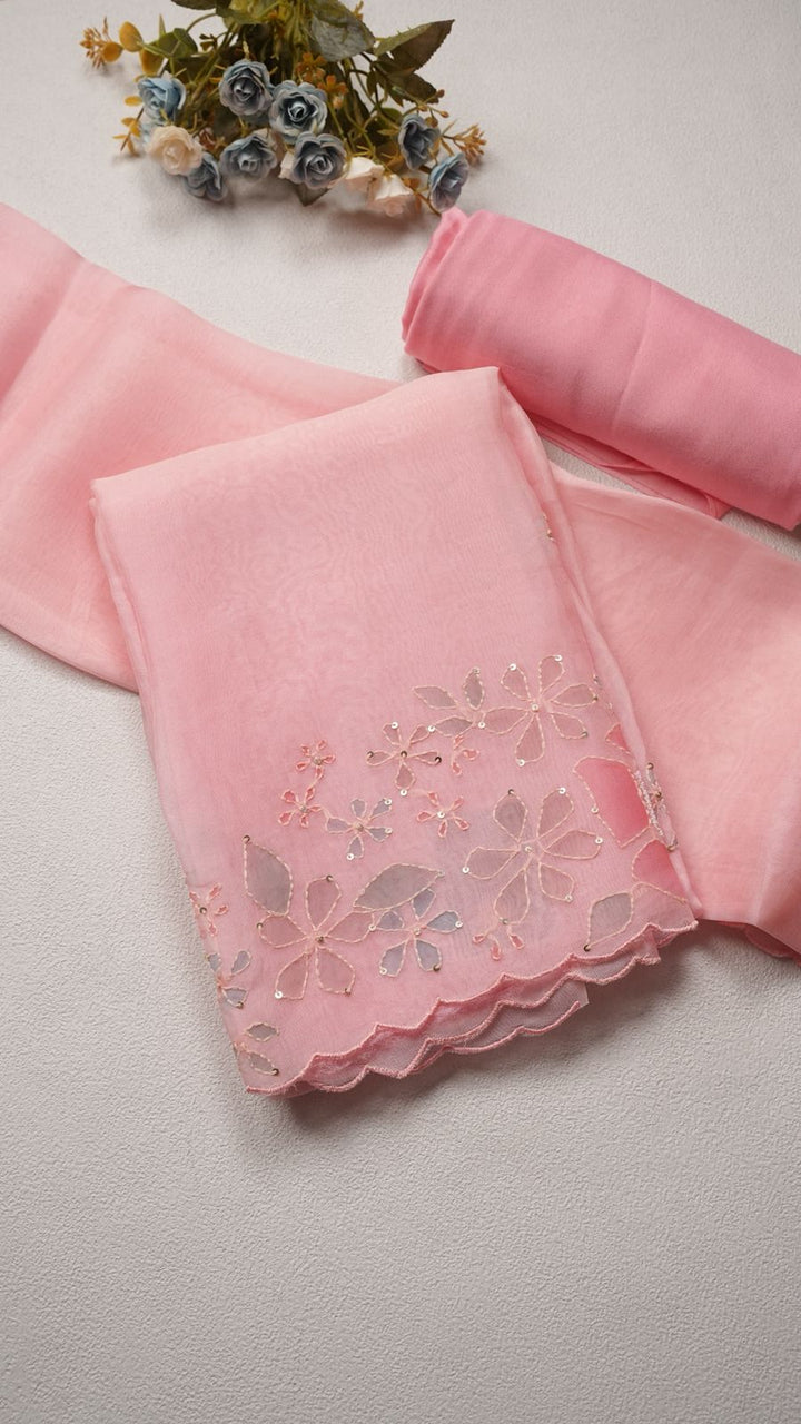 Organza Salwar TSS4290