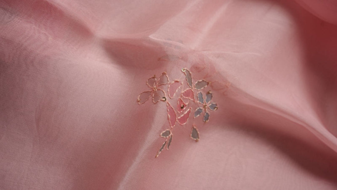 Organza Salwar TSS4290