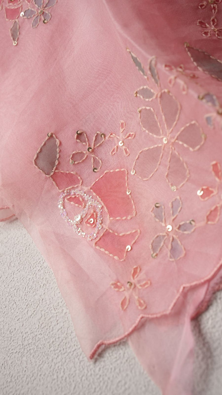 Organza Salwar TSS4290