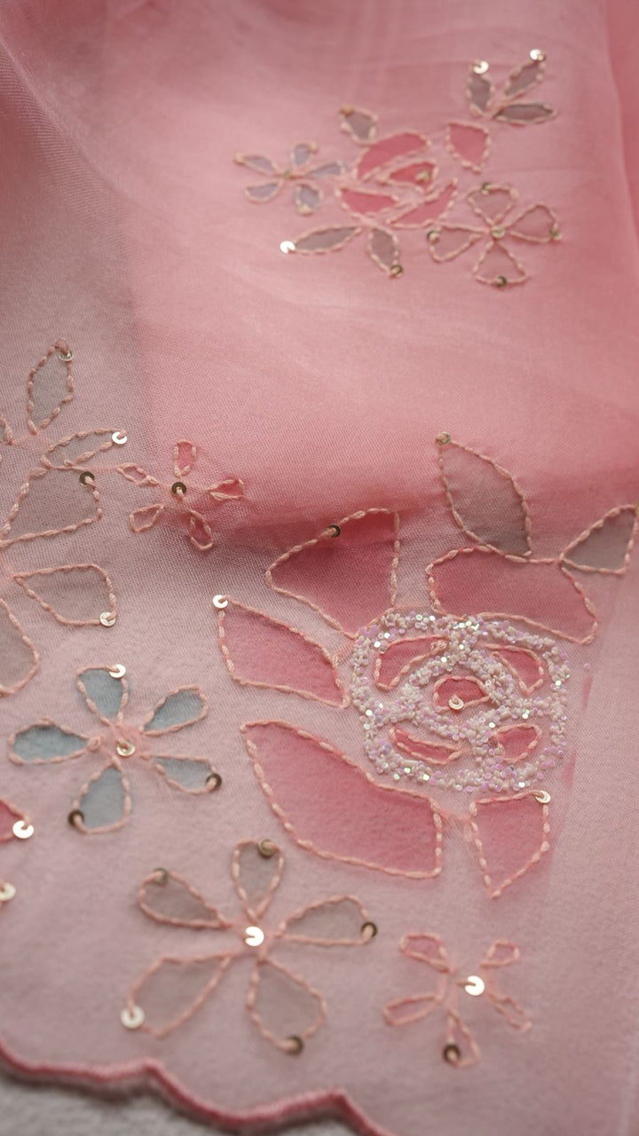 Organza Salwar TSS4290