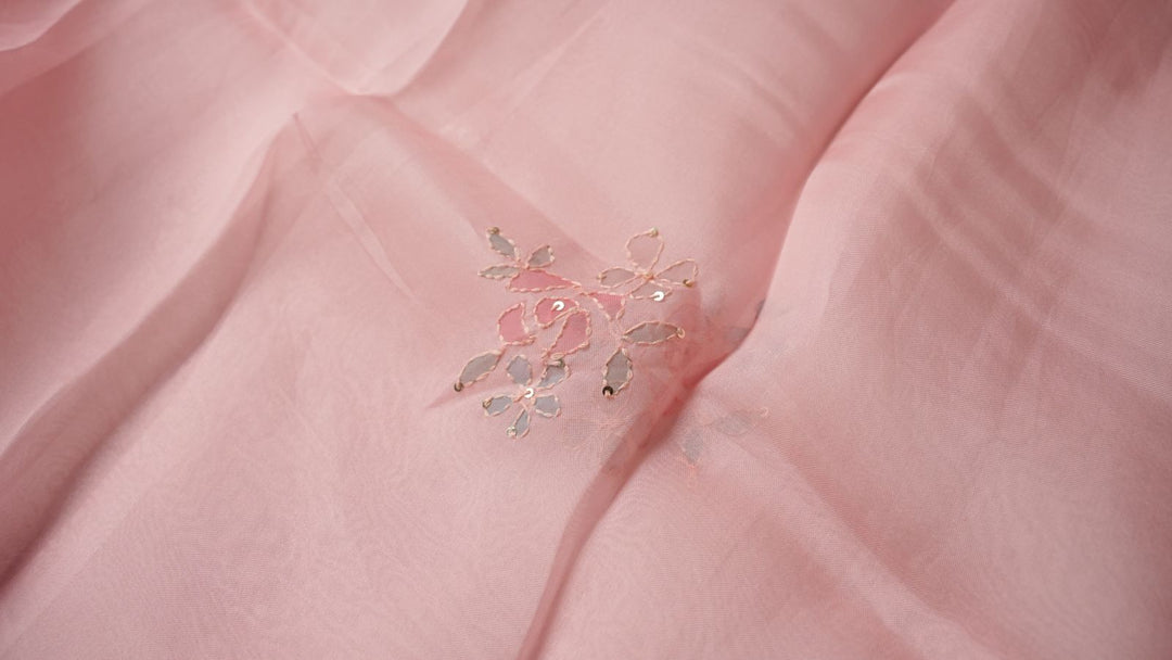 Organza Salwar TSS4290