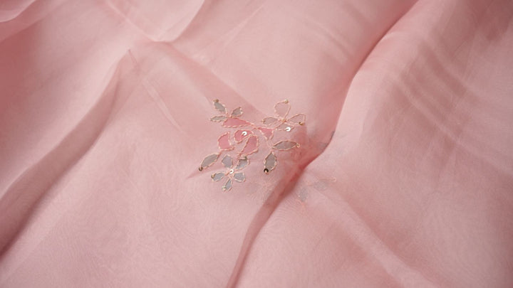 Organza Salwar TSS4290