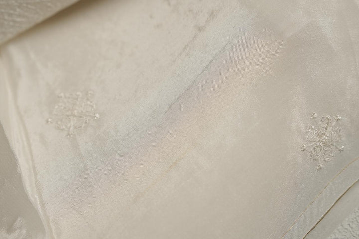 Semi-Organza Saree TSA4302