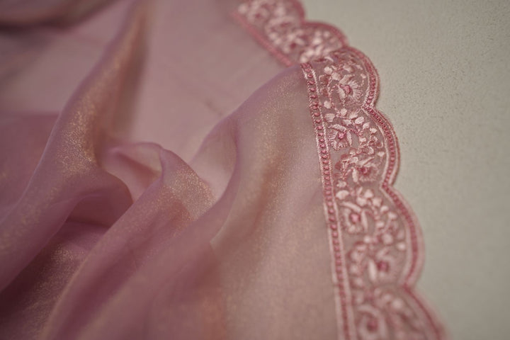 Shimmer Organza Saree  TSA4310