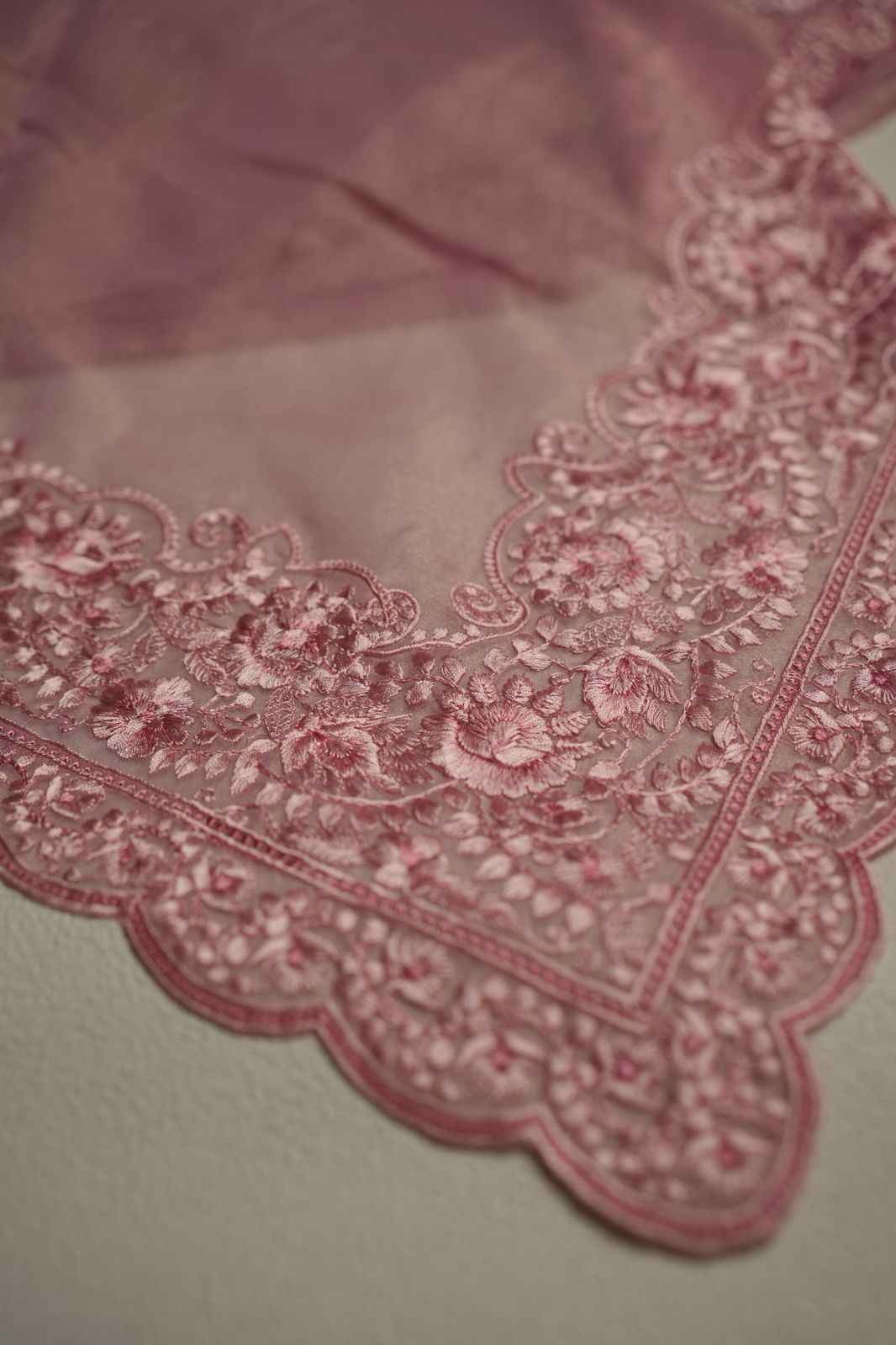 Shimmer Organza Saree  TSA4310