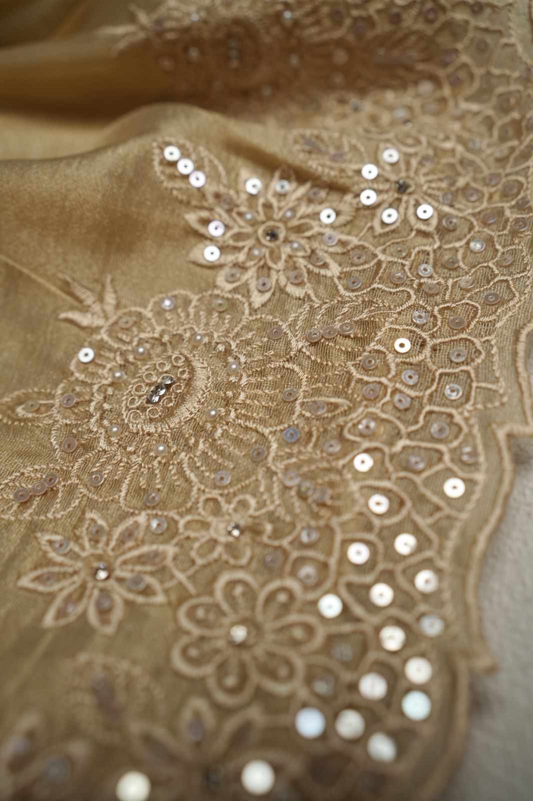 Tissue Organza Saree TSA4334