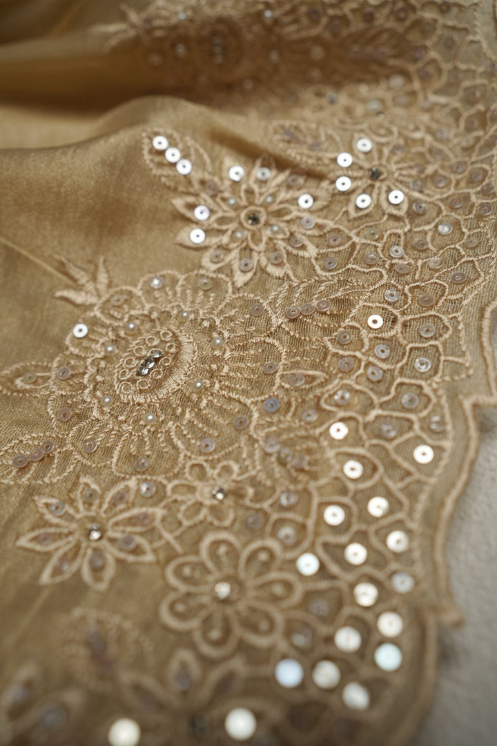 Tissue Organza Saree TSA4334