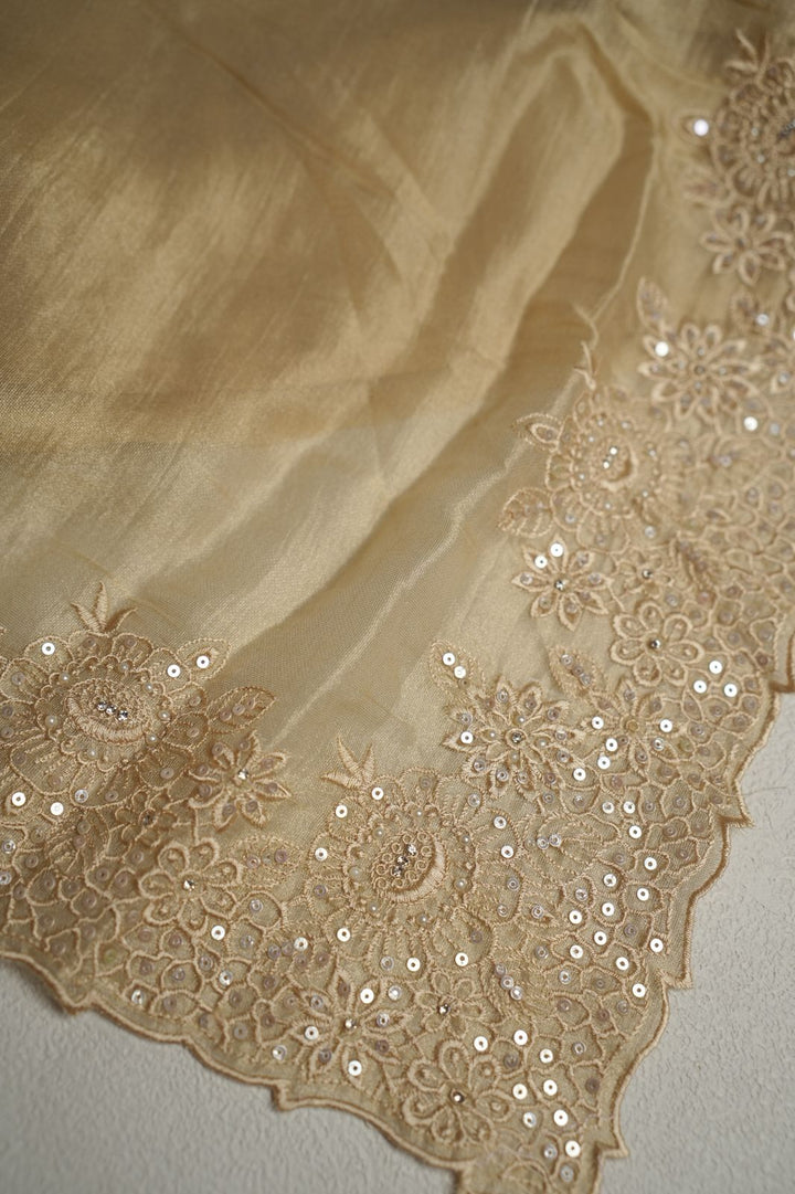 Tissue Organza Saree TSA4334