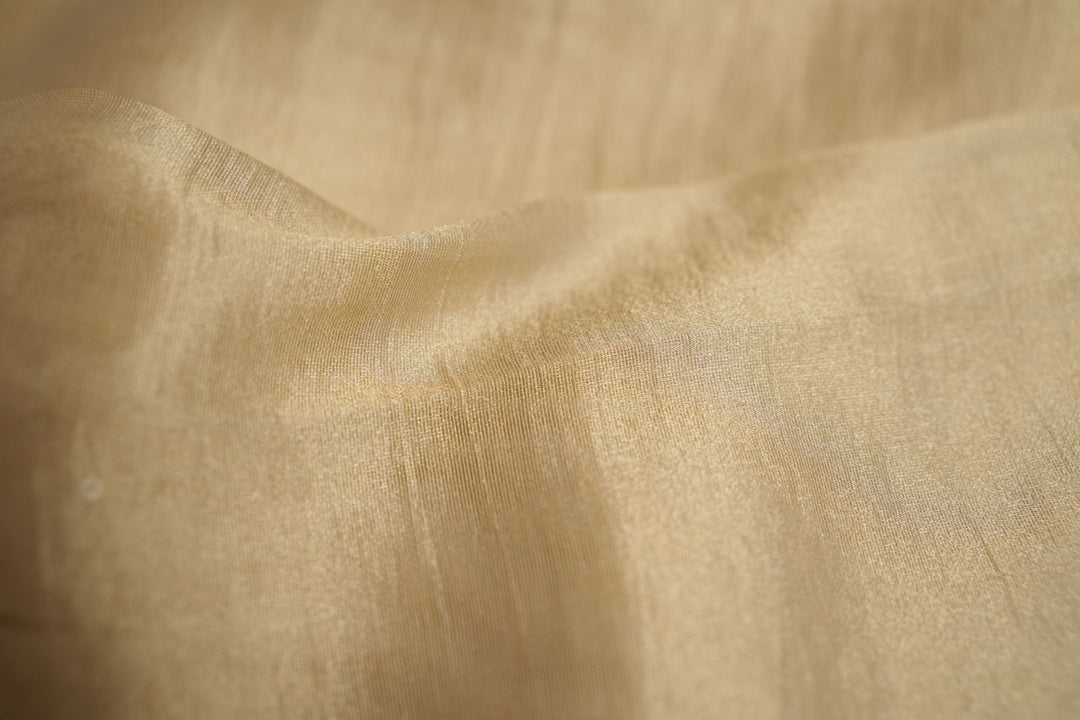 Tissue Organza Saree TSA4334