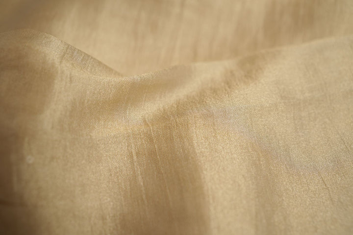 Tissue Organza Saree TSA4334